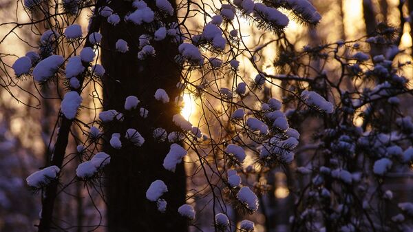 Кыш - Sputnik Кыргызстан