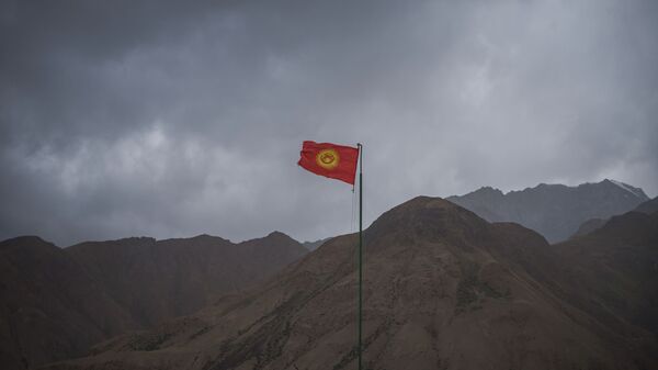 Чек ара заставасындагы Кыргызстандын желеги. Архив - Sputnik Кыргызстан
