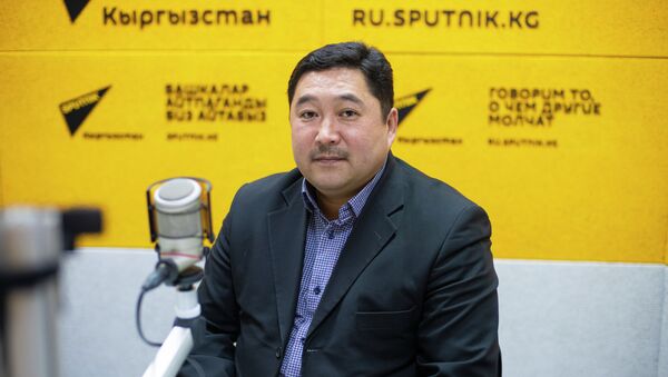 Начальник группы реализации проектов ОАО Национальная электрическая сеть Кыргызстана Рустанбек Раимкулов - Sputnik Кыргызстан