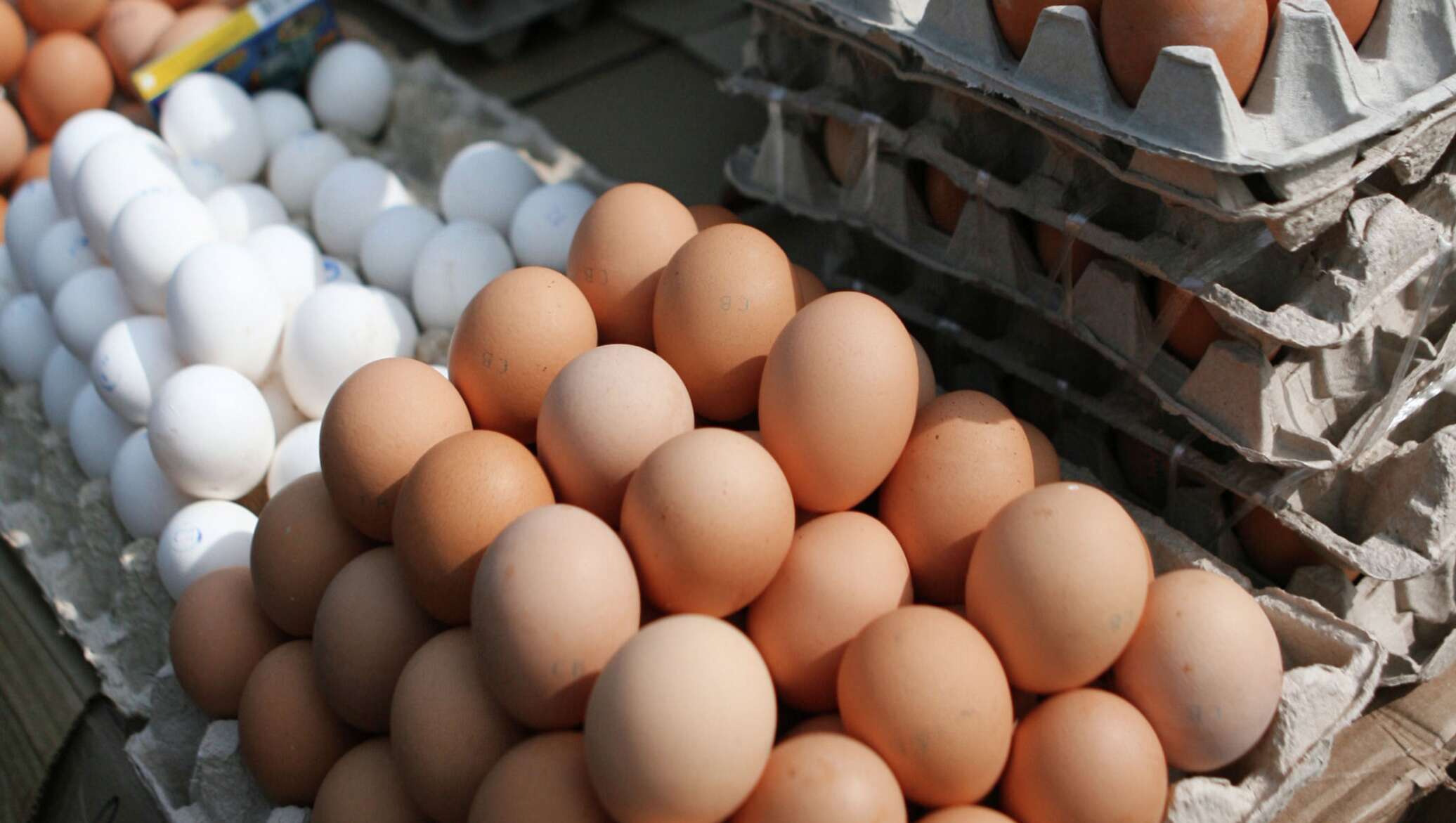 Яйца беларусь купить. Яйцо куриное. Яйцо домашнее куриное. Десяток яиц. Птицефабрика яйца.