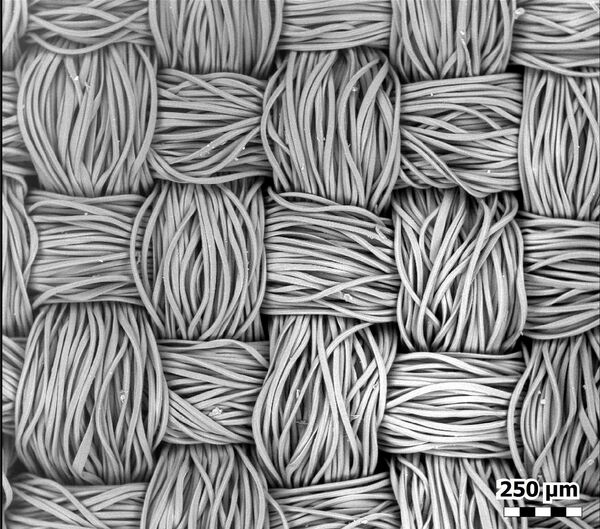 Волокна маски из полиэстера под микроскопом  - Sputnik Кыргызстан