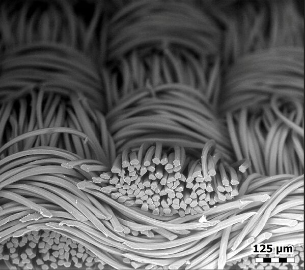 Волокна маски из полиэстера под микроскопом  - Sputnik Кыргызстан
