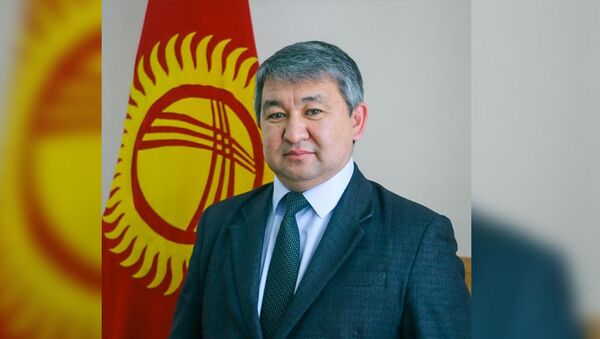 Назначенный  заместителем министра здравоохранения и социального развития Улук-Бек Бектурганов - Sputnik Кыргызстан