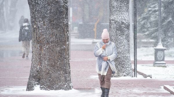 Девушка идет по улице во время снега в Бишкеке. Архивное фото - Sputnik Кыргызстан