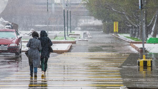 Снег в Бишкеке - Sputnik Кыргызстан