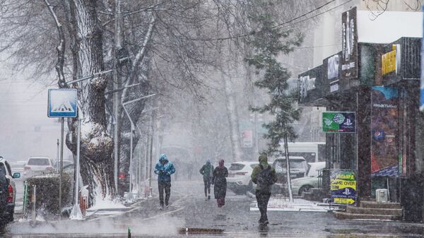 Люди идут во время снега в Бишкеке. Архивное фото - Sputnik Кыргызстан