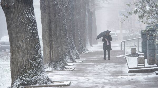 Мужчина с зонтом во время снегопада. Архивное фото - Sputnik Кыргызстан
