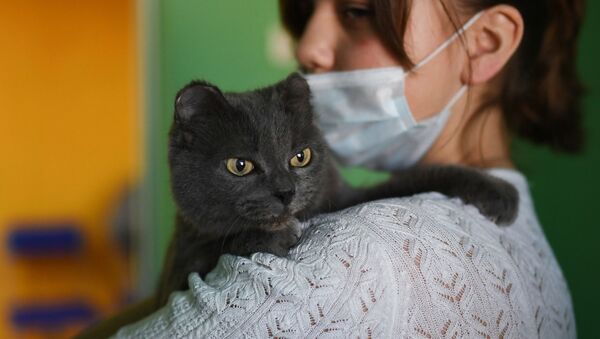 Девушка с котом. Архивное фото - Sputnik Кыргызстан