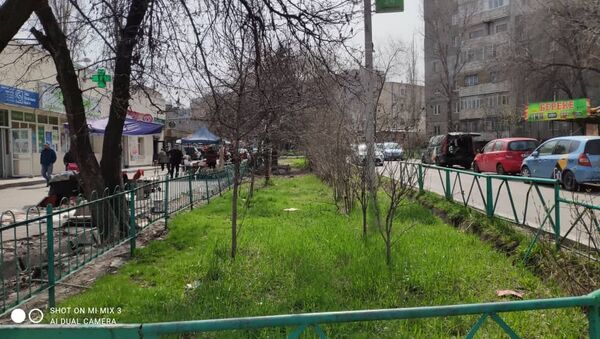 На пересечении улиц Сухэ Батора и Юнусалиева в Бишкеке скоро построят новую зеленую зону для отдыха горожан - Sputnik Кыргызстан