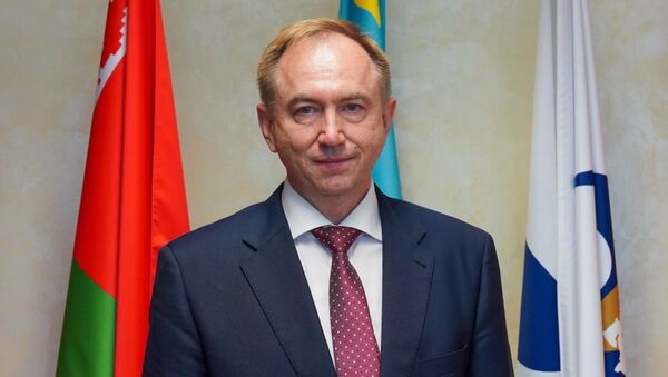 Директор департамента таможенного законодательства и правоприменительной практики ЕЭК Сергей Владимиров - Sputnik Кыргызстан