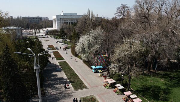 Бишкек шаарындагы эмен багы. Архив - Sputnik Кыргызстан