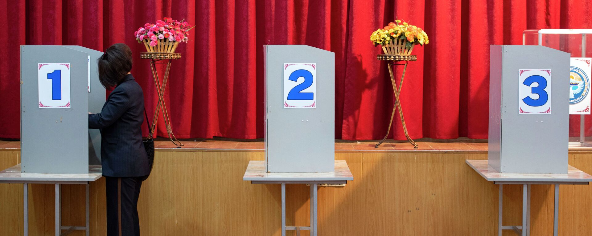 Выборы в местные кенеши и референдум по проекту новой Конституции в Кыргызстане - Sputnik Кыргызстан, 1920, 01.06.2021