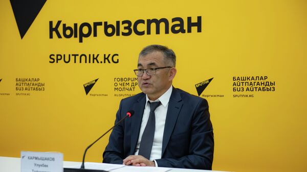 Вице-премьер Улукбек Кармышаков - Sputnik Кыргызстан