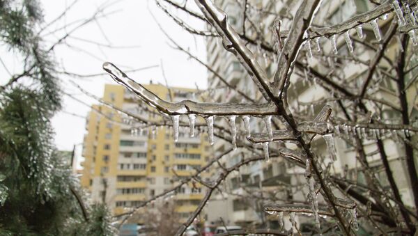 Последствия ледяного дождя. Архивное фото - Sputnik Кыргызстан