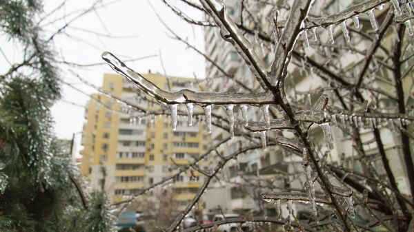 Последствия ледяного дождя. Архивное фото - Sputnik Кыргызстан