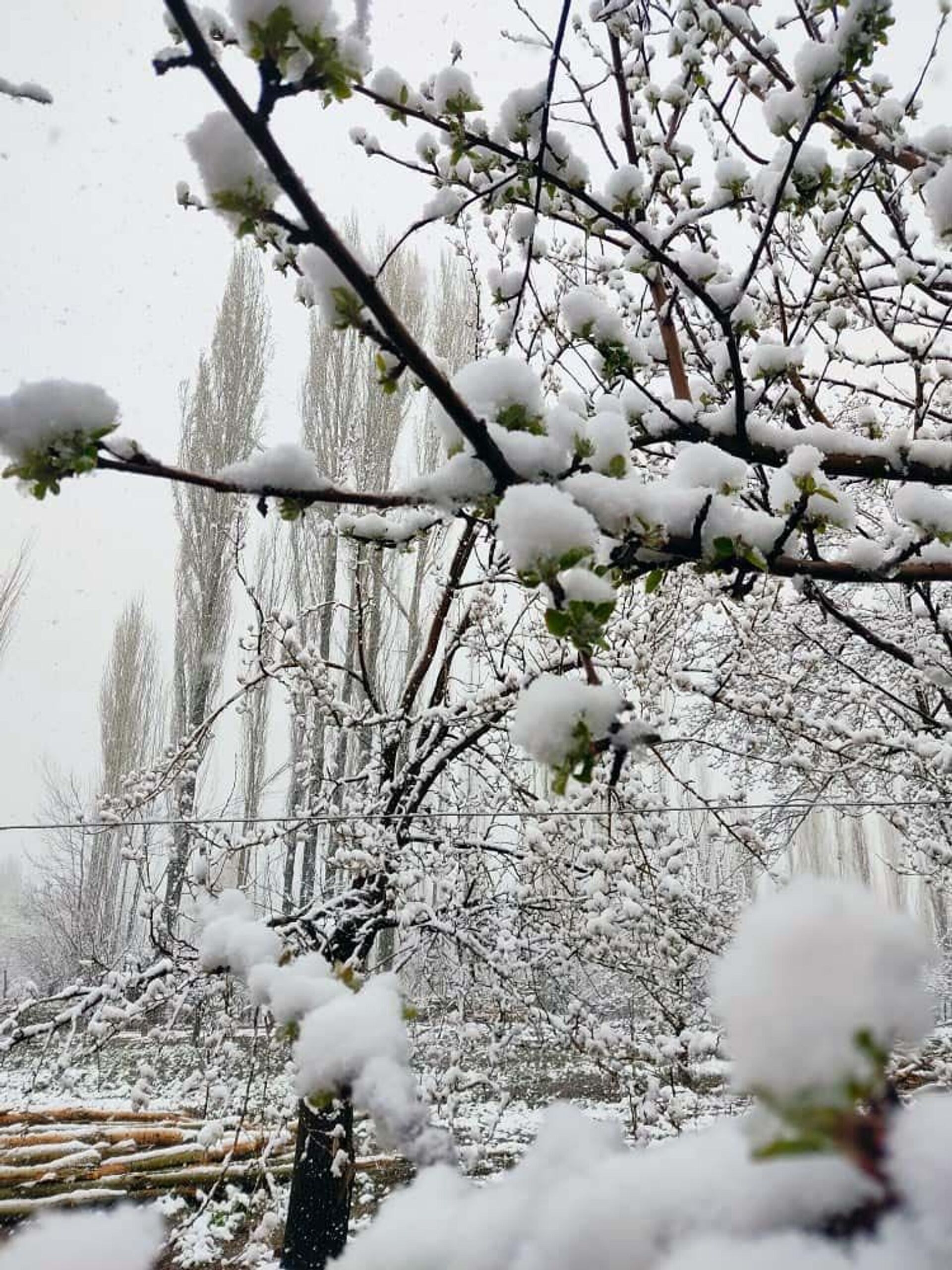 В регионы Кыргызстана вернулась зима — видео, фото обильного снега - Sputnik Кыргызстан, 1920, 22.04.2021