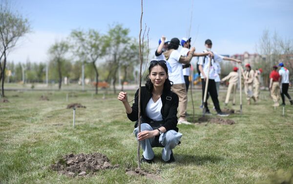 Акция Сад памяти по высадке деревьев в парке Ынтымак в Бишкеке - Sputnik Кыргызстан