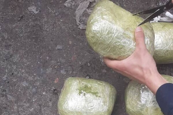 При досмотре машины в салоне обнаружили 30 брикетов с темно-зеленым веществом со специфическим запахом конопли - Sputnik Кыргызстан