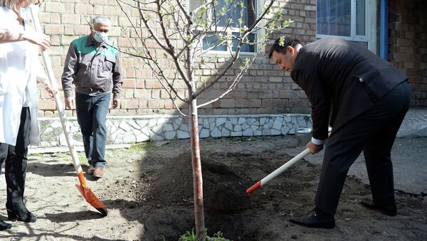 Президент Садыр Жапаров Эскерүү багы акциясынын алкагында көчөт отургузду - Sputnik Кыргызстан