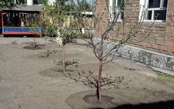 Деревья высажены на территории Специализированного центра реабилитации детей и семьи (Дом ребенка) в Бишкеке - Sputnik Кыргызстан