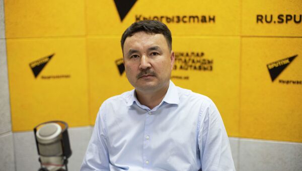 Первый заместитель генерального директора ОАО Электрические станции Алмаз Кушубаков на радио Sputnik Кыргызстан - Sputnik Кыргызстан
