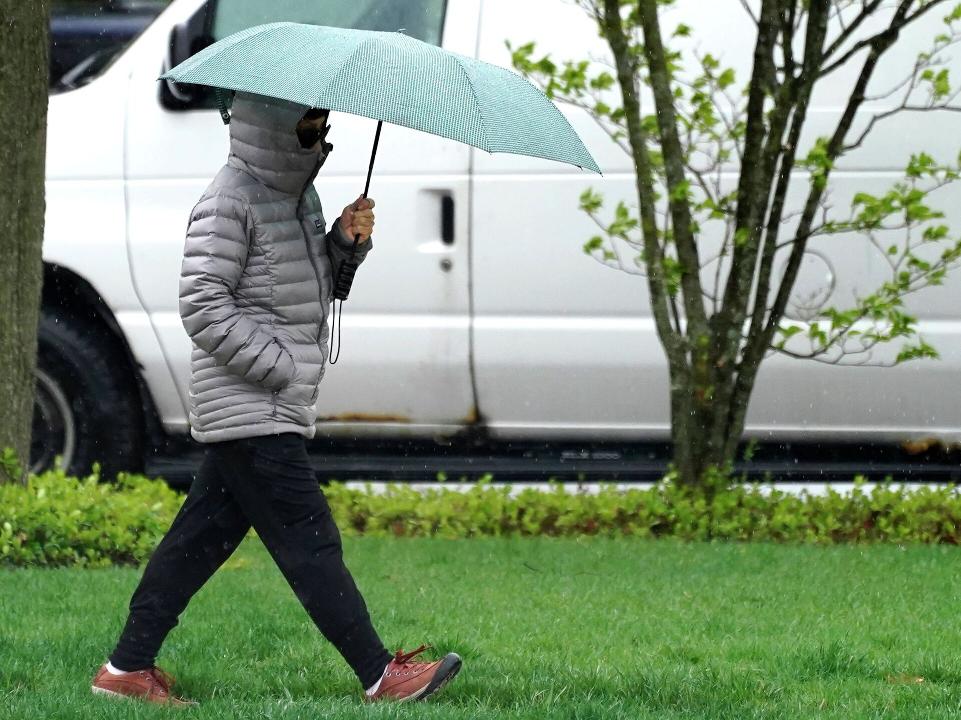 Мужчина с зонтом. Дождь в Кыргызстане. Бишкек климат. В каком районе дождь