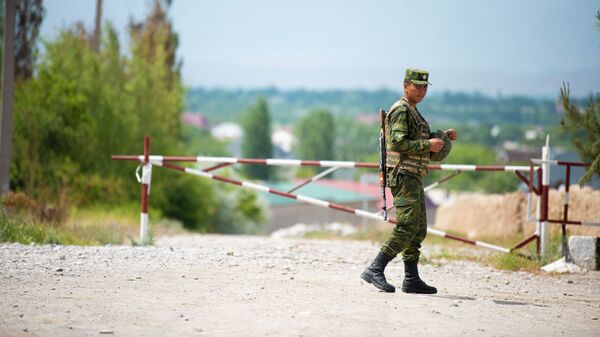 Сотрудник пограничной службы КР на границе с Таджикистаном. Архивное фото - Sputnik Кыргызстан