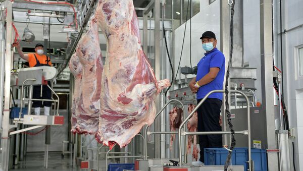 Новый крупнейший в Кыргызстане мясокомбинат в Караколе - Sputnik Кыргызстан