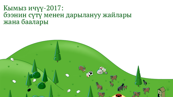 Кымыз ичүү-2017: бээнин сүтү менен дарылануу жайлары жана баалары - Sputnik Кыргызстан