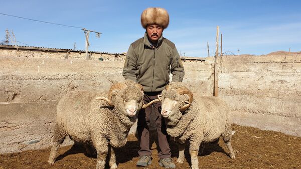Животновод из Тонского района Иссык-Кульской области Баатырбек Акматов. Архивное фото - Sputnik Кыргызстан
