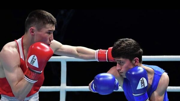  Бокс боюнча курама команда Азия чемпионатында төрт коло медалга ээ болду - Sputnik Кыргызстан