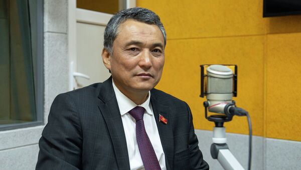 КСДП фракциясынын депутаты Самат Ибраев - Sputnik Кыргызстан