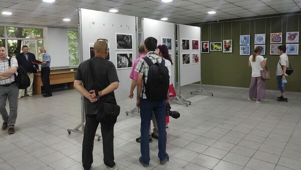 В галерее Союза художников Дубовый парк открылась фотовыставка Этот день мы приближали, как могли!, посвященная 80-летию начала Великой Отечественной войны - Sputnik Кыргызстан