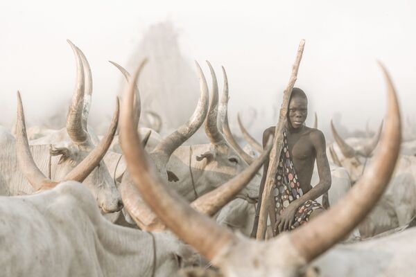 Снимок The Mundari Cattle Herder швейцарского фотографа Josef Bürgi, победивший в категории Environmental Portrait в конкурсе 2021 The International Portrait Photographer of the Year - Sputnik Кыргызстан