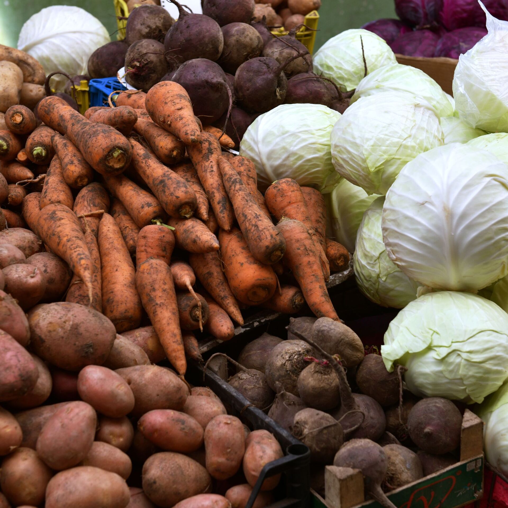 Купить овощи ростов. Поставка овощей. Поставщики овощей. Плодоовощная продукция. Картофель морковь свекла.