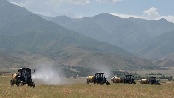 Работы по борьбе с саранчовыми вредителями на полях и огородах - Sputnik Кыргызстан