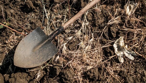 Лопата и одноразовые перчатки на земле. Архивное фото - Sputnik Кыргызстан