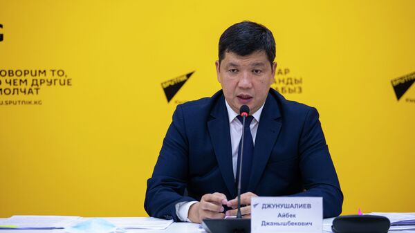 Министрлер кабинетинин төрагасынын биринчи орун басары Айбек Жунушалиев - Sputnik Кыргызстан