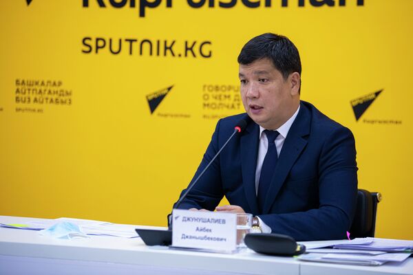 Первый заместитель председателя кабинета министров Айбек Джунушалиев - Sputnik Кыргызстан