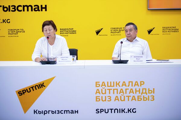 Брифинг Минэнерго о новых тарифах, подготовке к ОЗП и об энергобезопасности - Sputnik Кыргызстан