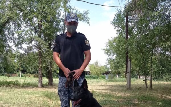 Обнаружить наркотики помогла служебная собака по кличке Хьюга, сообщила пресс-служба МВД. - Sputnik Кыргызстан