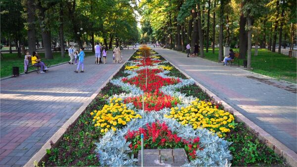 Новые цветочные композиции в Бишкеке - Sputnik Кыргызстан