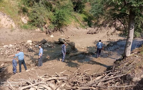 По данным милиции, проливные дожди стали причиной наводнения на пастбище Танды-Булак, которое соединяет сельские округа Жаны-Жол и Ак-Жол - Sputnik Кыргызстан