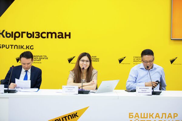 Брифинг Как госорганы должны выполнить поручения Жапарова по поддержке бизнеса - Sputnik Кыргызстан