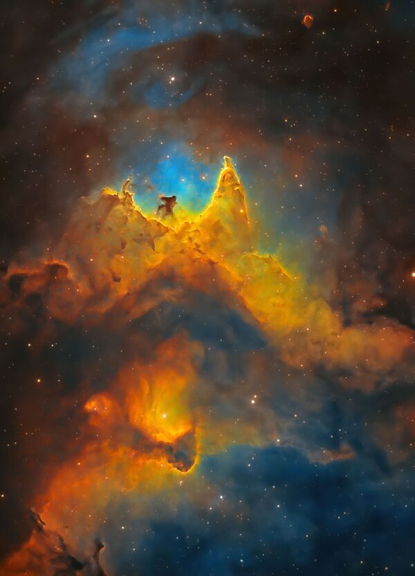 Снимок The Soul of Space (Close-up of the Soul Nebula) британского фотографа Kush Chandaria, попавший в шортлист конкурса Royal Observatory’s Astronomy Photographer of the Year 13 - Sputnik Кыргызстан