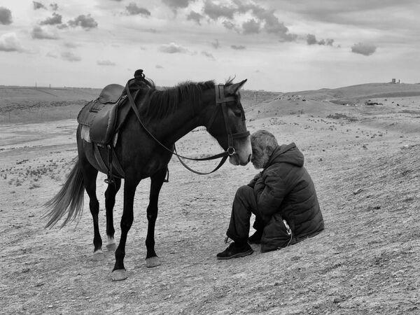 Снимок Bonding фотографа из Индии Sharan Shetty, занявший 1-е место в номинации Photographer of the Year конкурса IPPAWARDS 2021 - Sputnik Кыргызстан