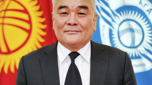 Глава Агентства гражданской авиации Бакыт Джунушалиев - Sputnik Кыргызстан