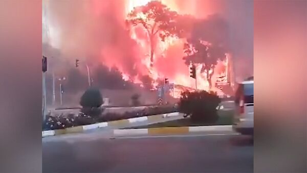 Крупный лесной пожар в Анталье перекинулся на город, есть пострадавшие. Видео - Sputnik Кыргызстан