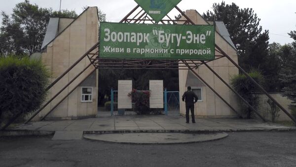 Зоопарк Бугу-Эне в Караколе - Sputnik Кыргызстан