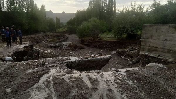 Из-за проливных дождей в нескольких селах Баткенской области сошли селевые потоки - Sputnik Кыргызстан